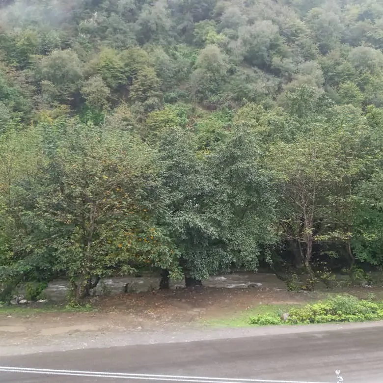 تصویر ۱ - سوییت محمد در  ماسال