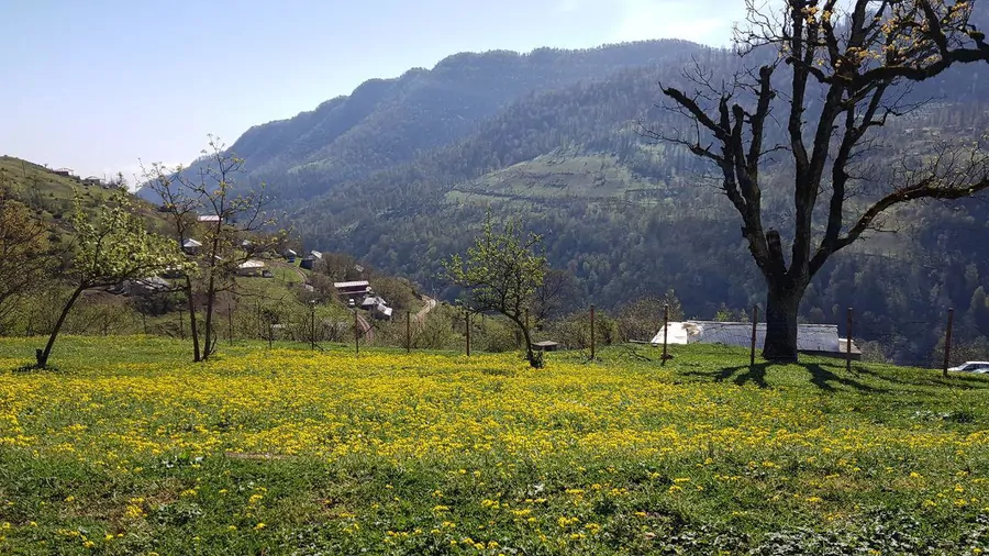 تصویر ۱ - روستایی و عشایری خونه سنتی در  تالش