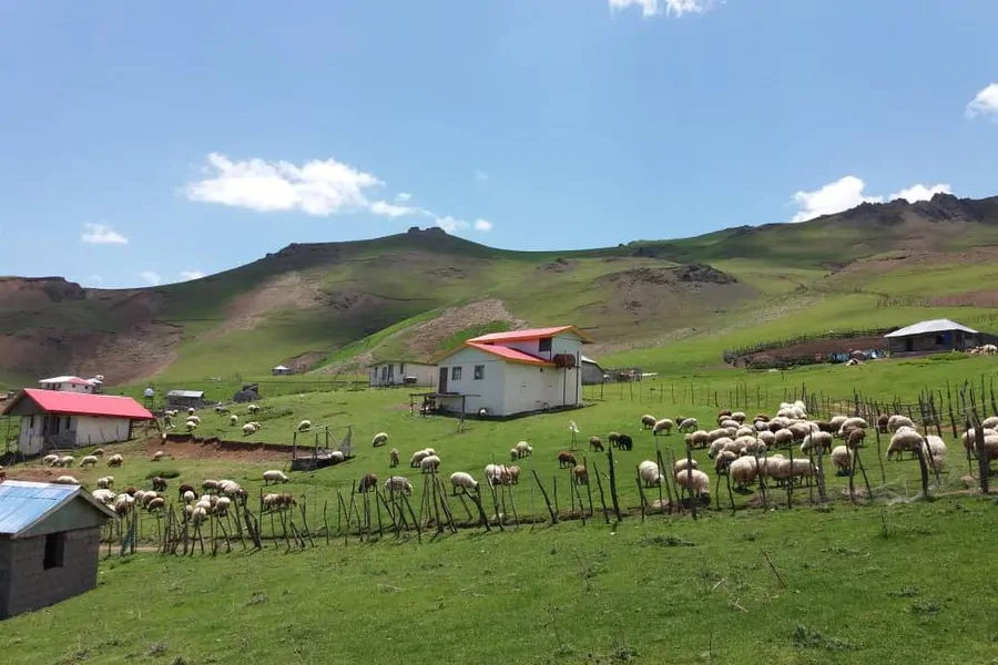 تصویر ۱ - ویلا سوباتان در  تالش
