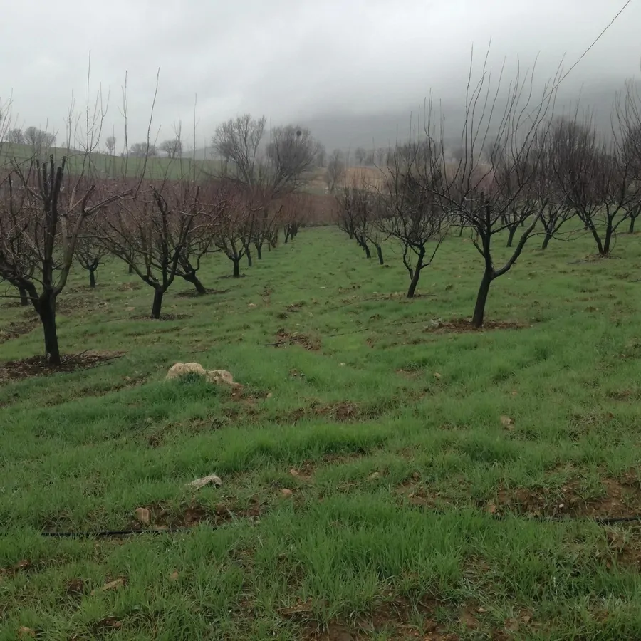 تصویر ۱ - روستایی و عشایری خانه باغی در  یاسوج