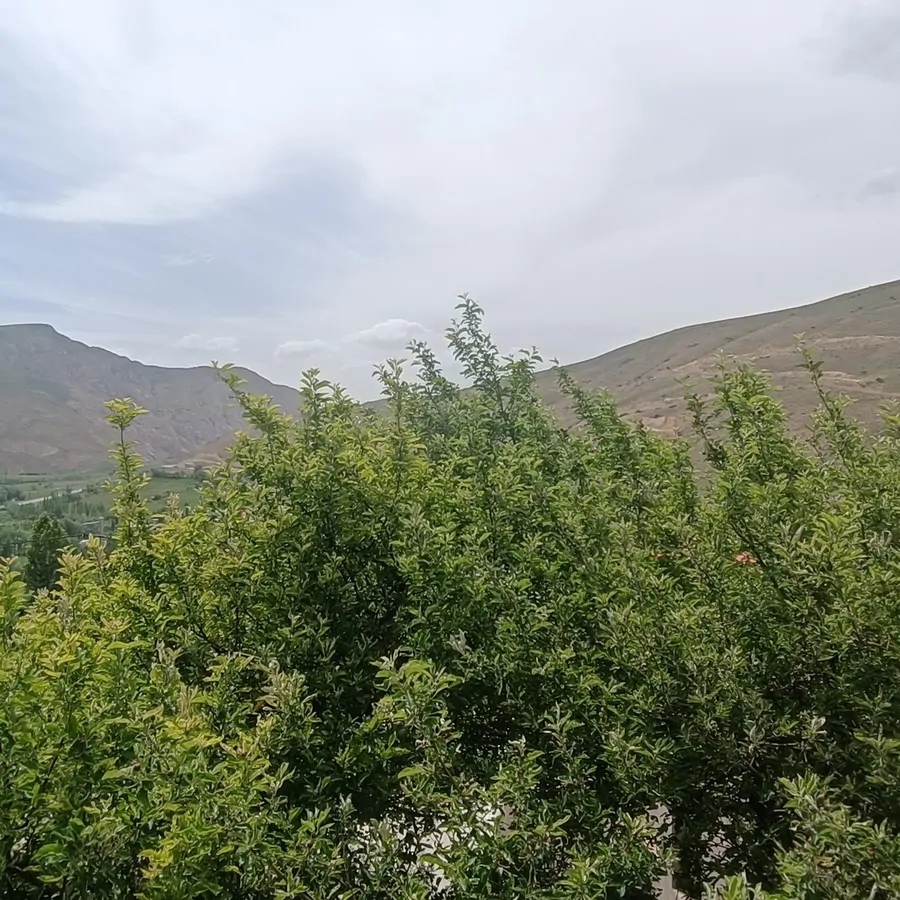 تصویر ۱ - ویلا ویلای امیر در  خلخال