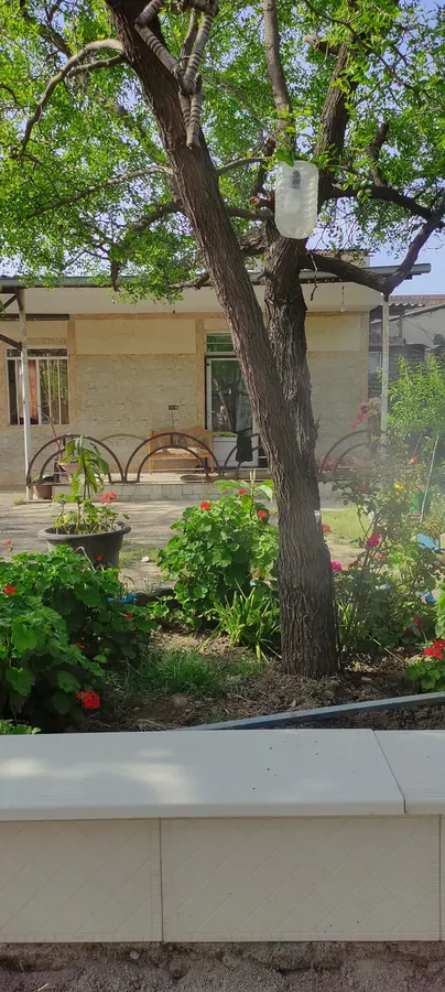 تصویر ۱ - ویلا باغ روستایی رائیجی  در  گرگان