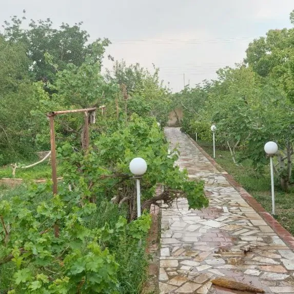 تصویر ۱ - ویلا خانه باغ نزدیک اتوبان بسمت کویر در  کاشان