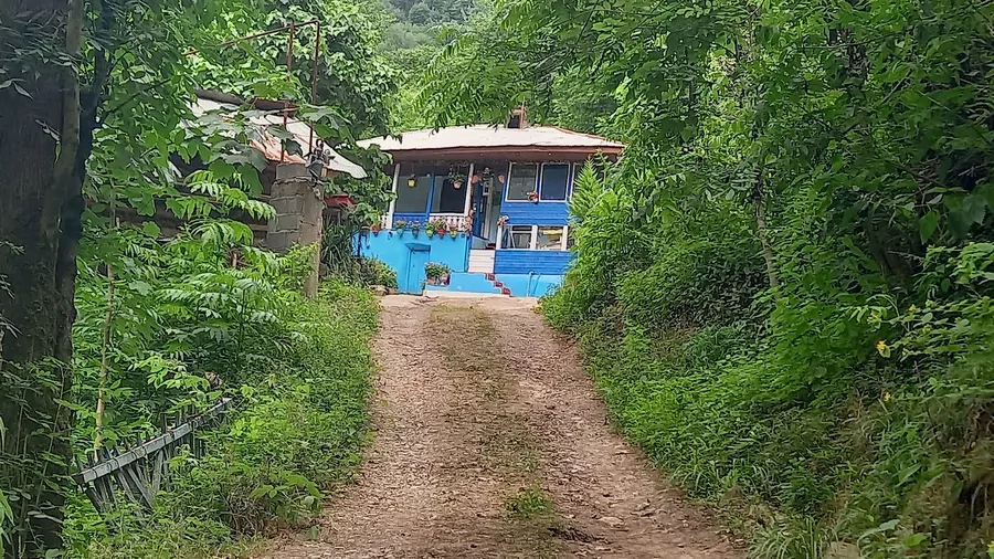 تصویر ۱ - ویلا  جنگلی بریا در  ماسال