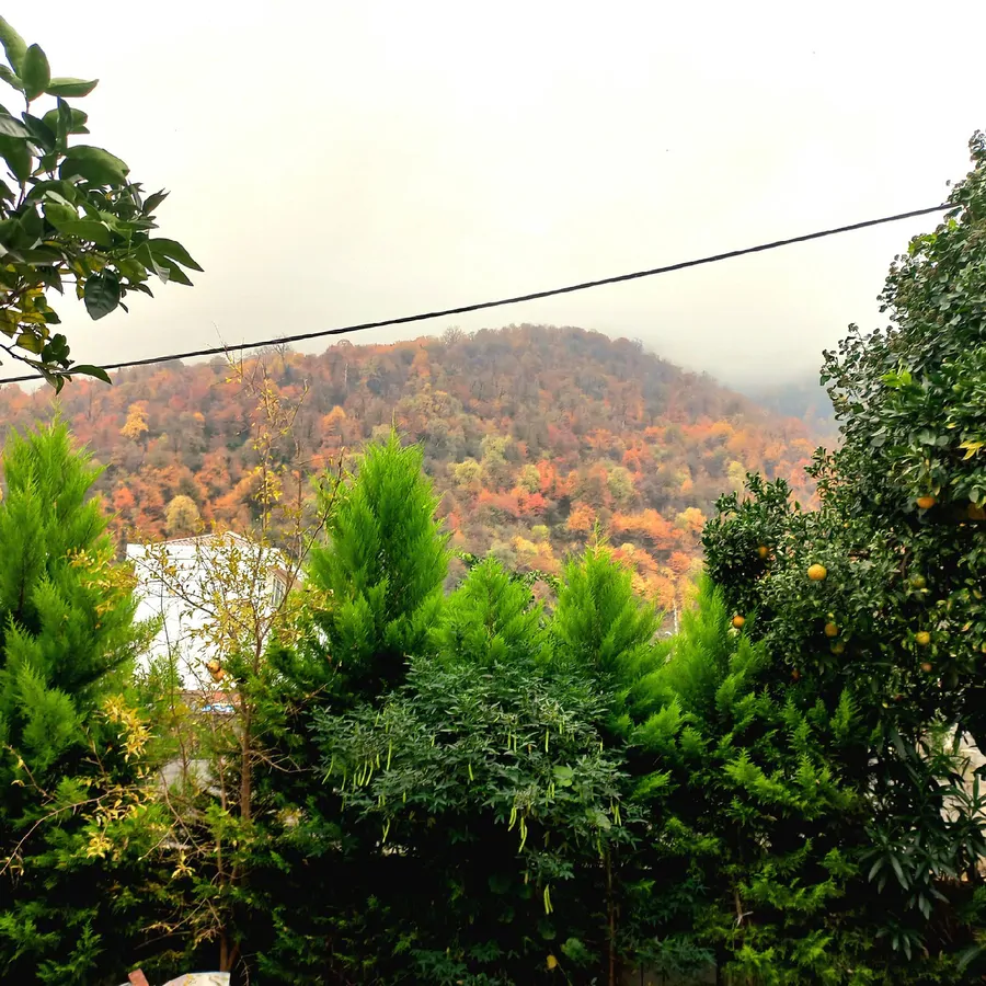 تصویر ۱ - ویلا گل یاس در  چالوس