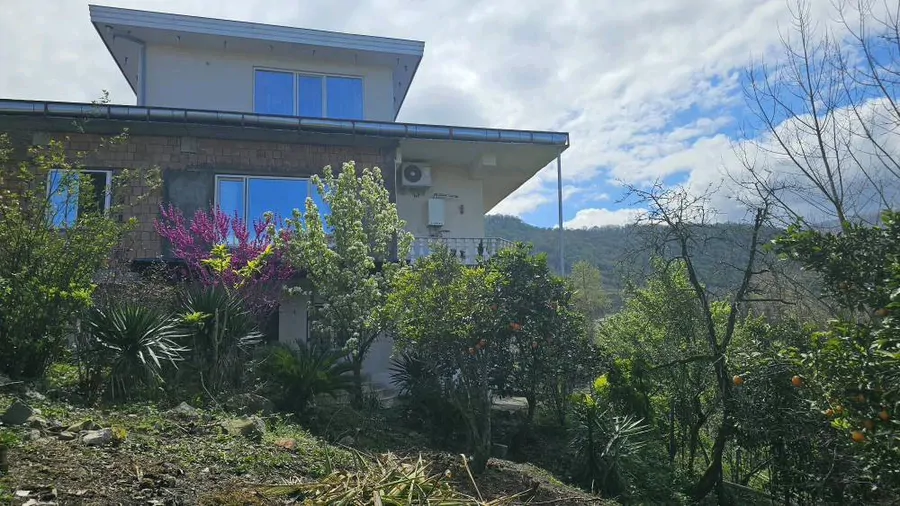 تصویر ۱ - آپارتمان ویلای جنگلی زرین در چالوس