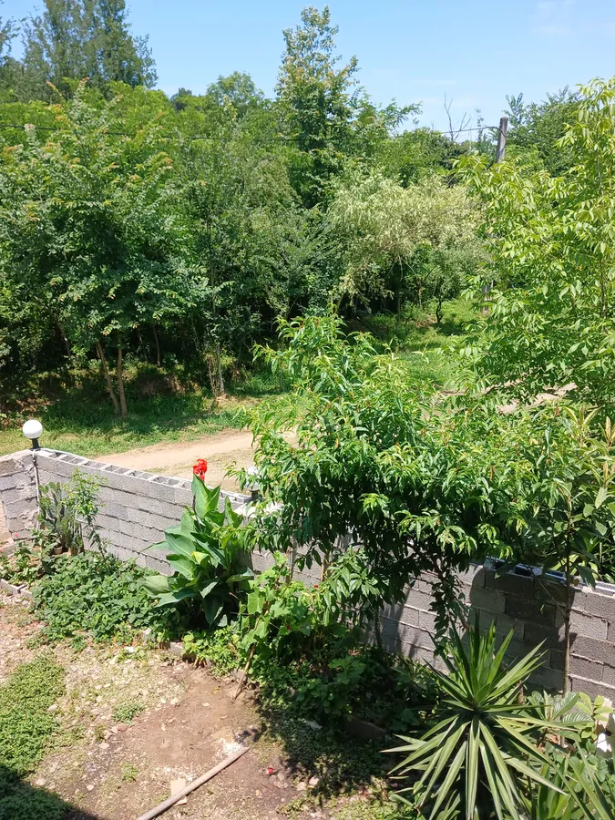 تصویر ۱ - ویلا ویلای سرای پدری در  شفت