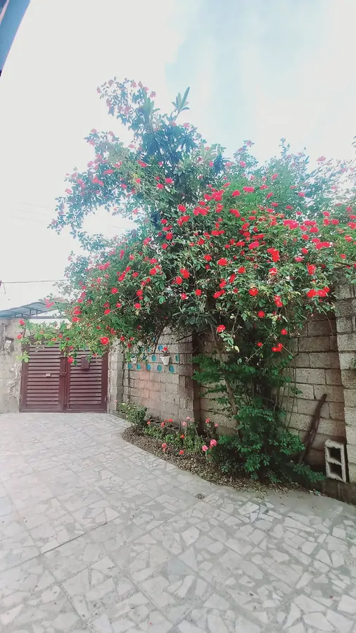 تصویر ۱ - ویلا ویلا دربستی خوش مکان در  فومن