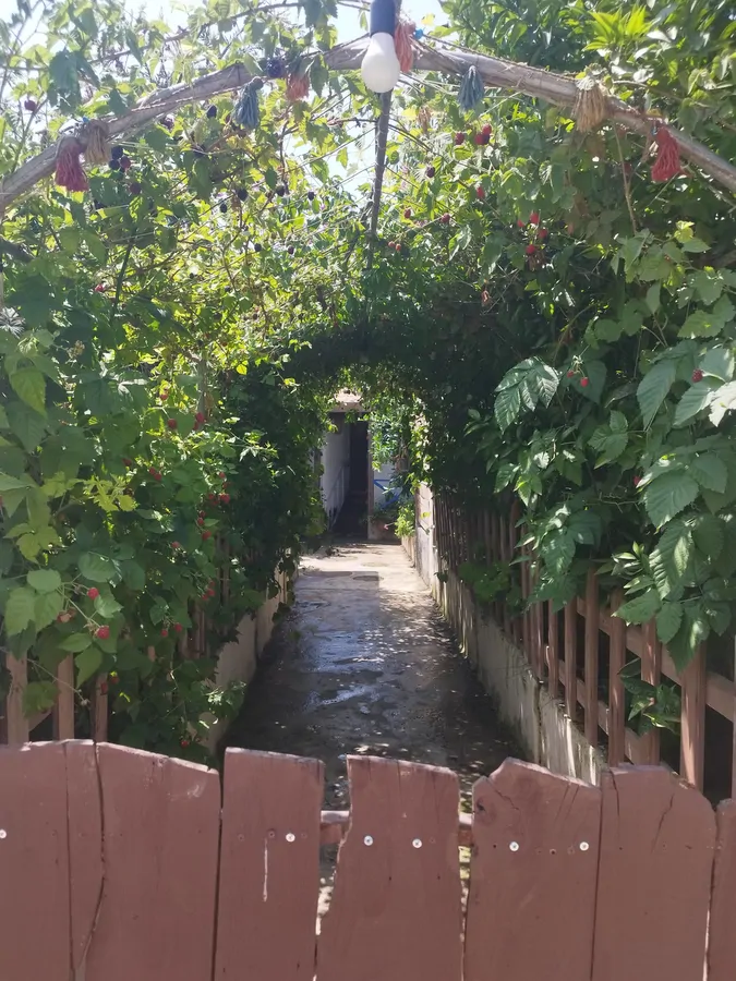 تصویر ۱ - کلبه باغ ماهسو اقامتگاه سِره سَر (کلبه روجا) در  بابلسر