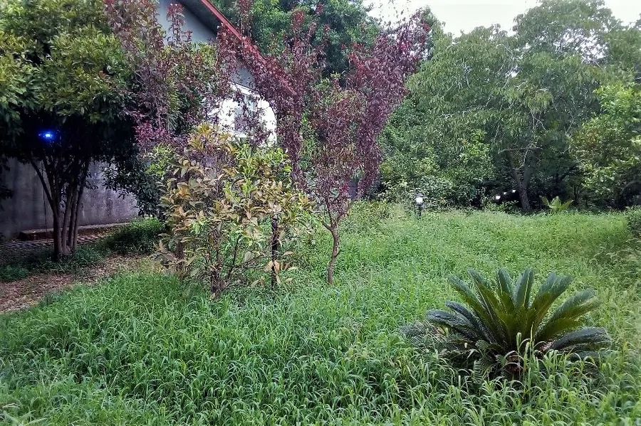 تصویر ۱ - ویلا استخردار در  انزلی