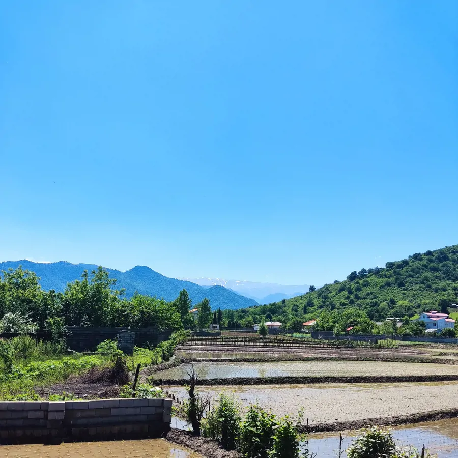 تصویر ۱ - ویلا الهه  در  ماسال