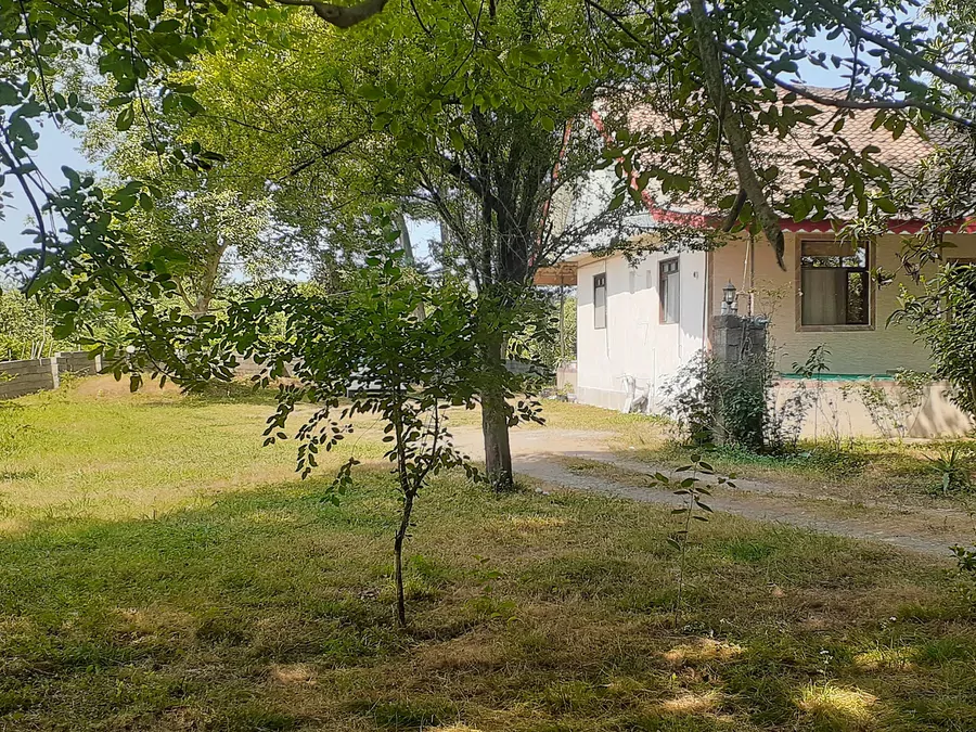 تصویر ۱ - ویلا ویلای سالاری در  ماسال