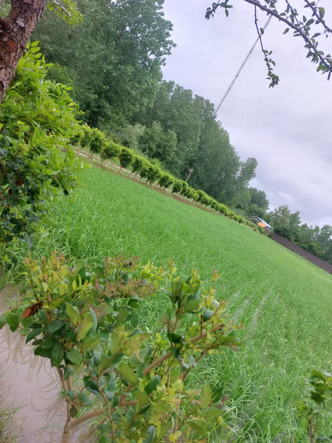 تصویر ۱ - ویلا ساحلی دو خواب در  زیبا کنار