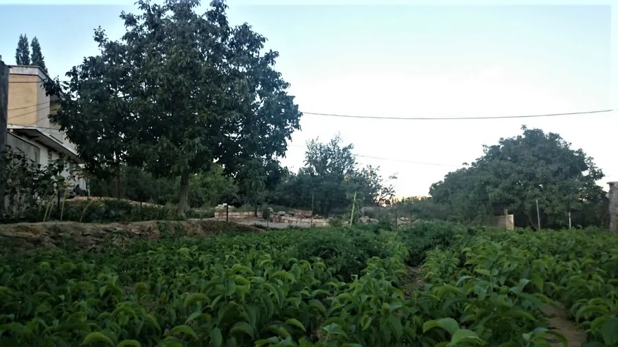 تصویر ۱ - ویلا مرادان 2 در  شهمیرزاد