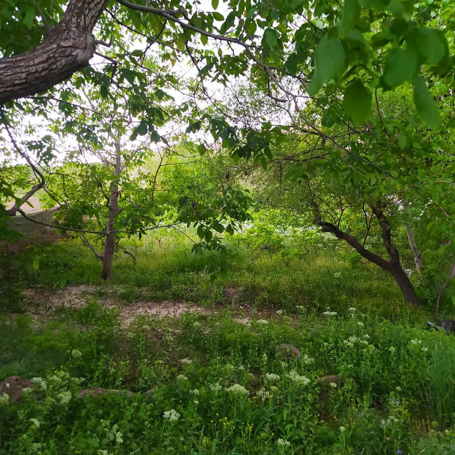 تصویر ۱ - ویلا باغچه گنو در  آبیک
