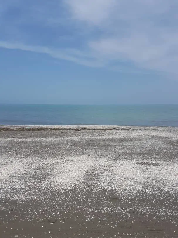 تصویر ۱ - ویلا ویلا دوبلکس در  نوشهر