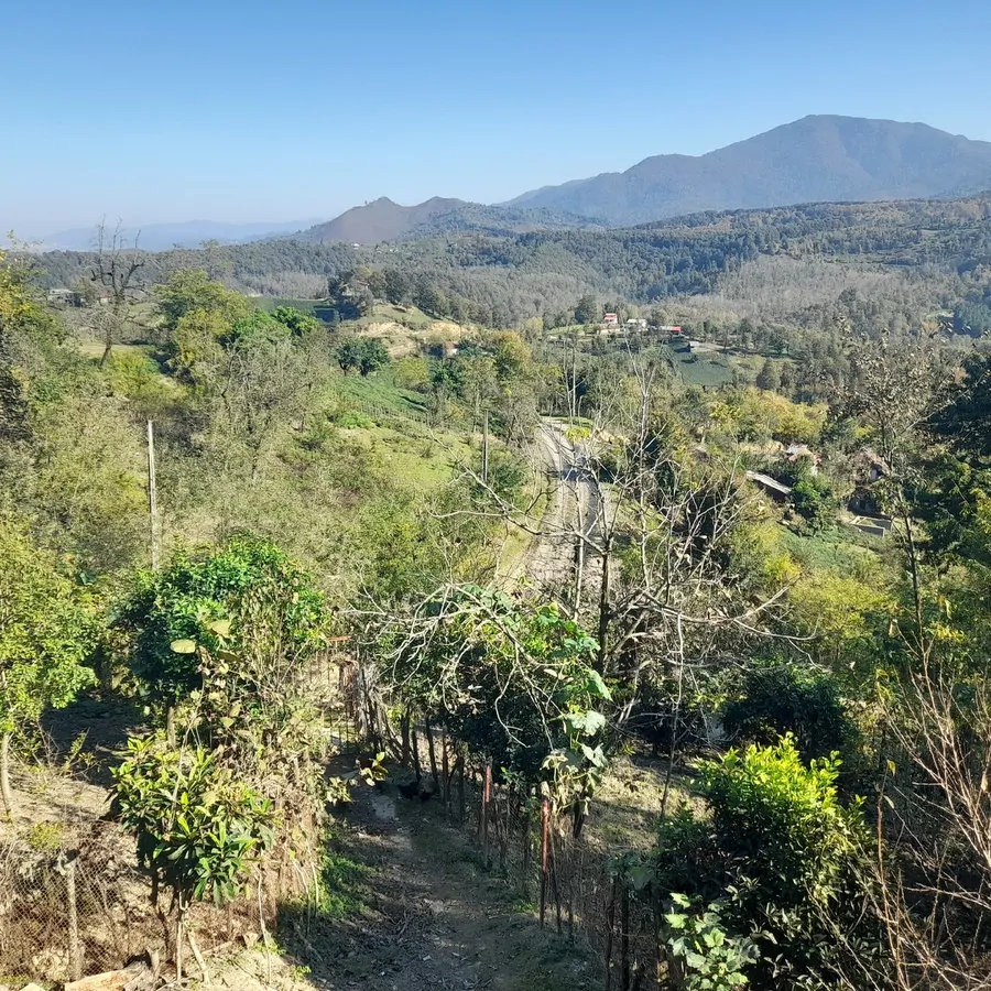 تصویر ۱ - خانه جنگلی کوهستان در  سیاهکل