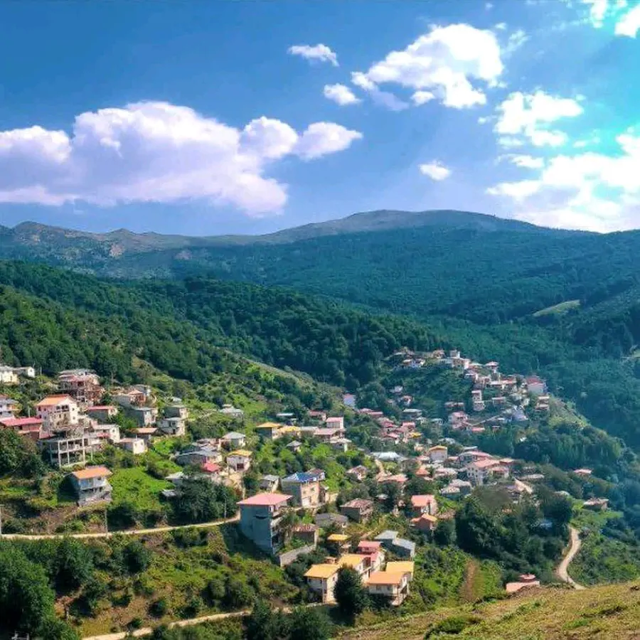 تصویر ۱ - ویلا سوئیت جنگلی در پل سفيد