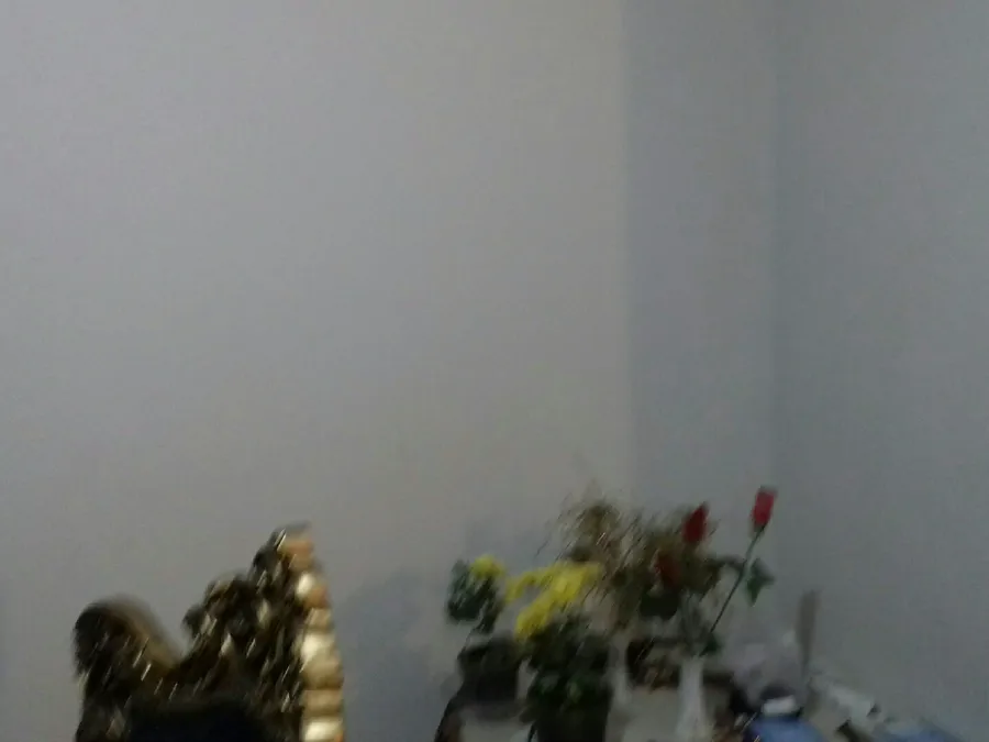تصویر ۱ - خانه زمانی در  کرج