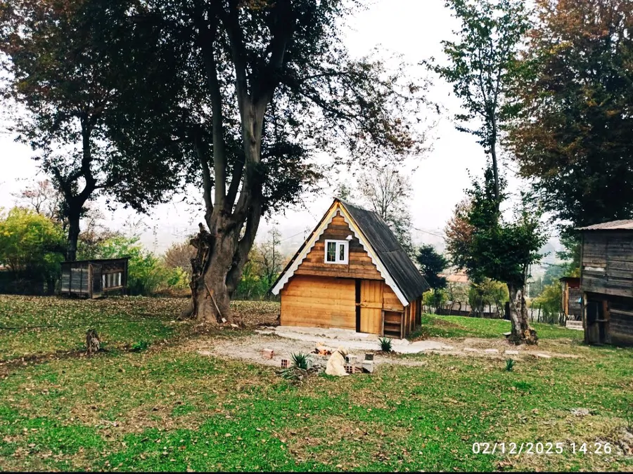 تصویر ۱ - کلبه کلبه سوییسی جنگلی در ماسال