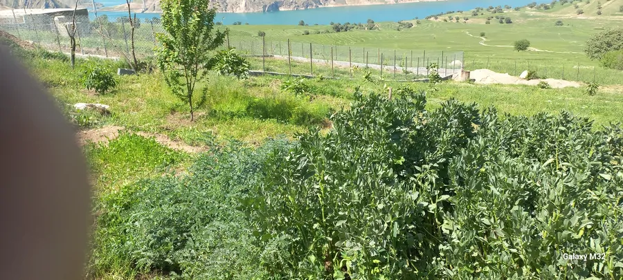 تصویر ۱ - کلبه لاکچری با امکانات فراوان رفاهی در  ایذه