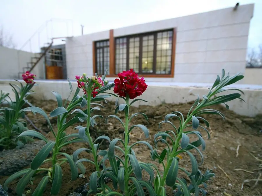 تصویر ۱ - ویلا دنجو در  سپیدان