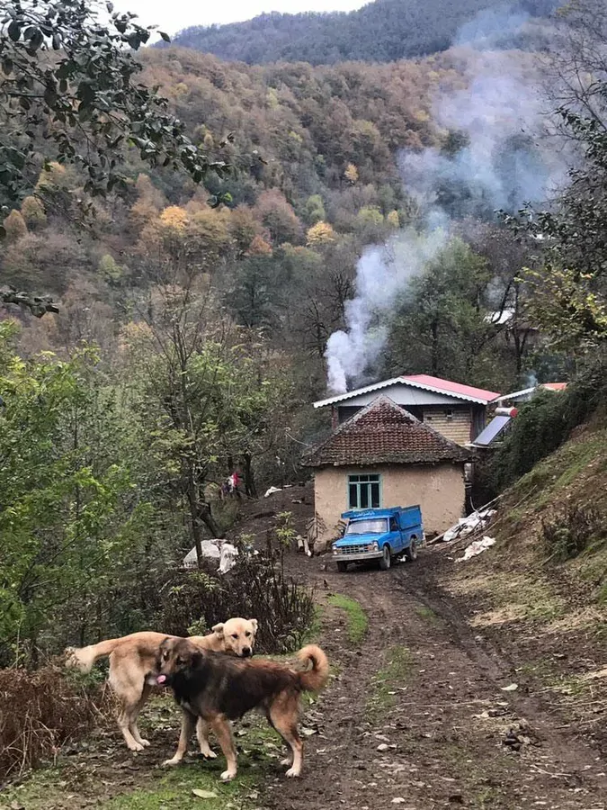 تصویر ۱ - روستایی و عشایری جنگلی علیرضا در  آستارا
