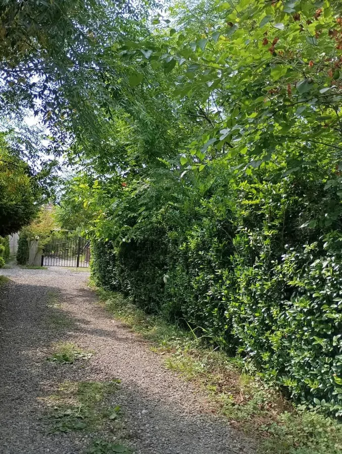 تصویر ۱ - ویلا ویلای سه خواب مستر با استخروجکوزی رز۲ در  رامسر