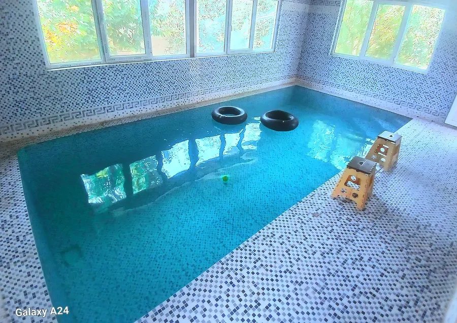 تصویر ۱ - ویلا استخردار آبگرم سبز در سهیلیه