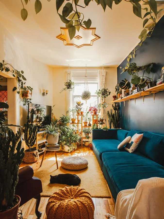 تصویر ۱ - خانه تست دی ماه تستی،رزرو نکنید  ??? در  قم