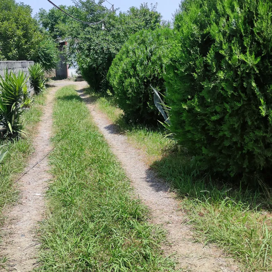 تصویر ۱ - ویلا مایا در  رویان