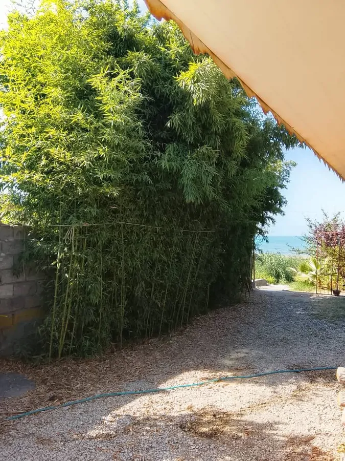 تصویر ۱ - کلبه اقامتگاه پور باقی در رضوانشهر