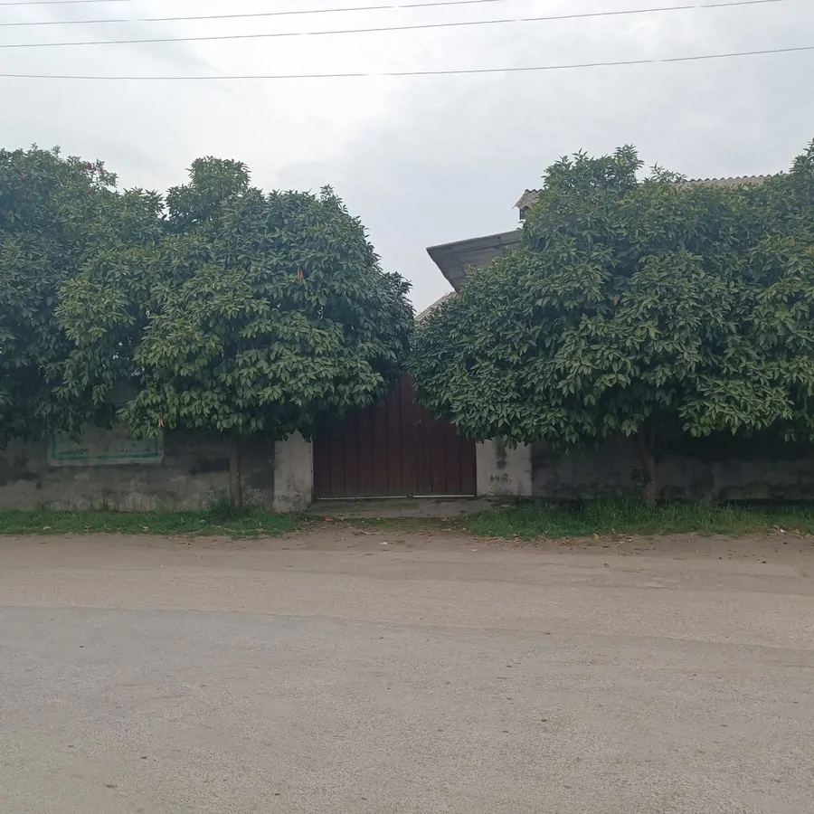 تصویر ۱ - ویلا خونه در  بابلسر