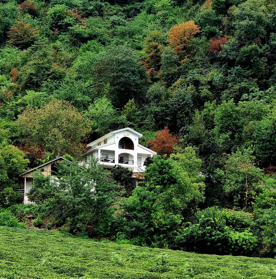 تصویر ۱ - ویلا رزرو ویلای بهشت دوبلکس جنگلی در لاهیجان . لیالستان در  لاهیجان