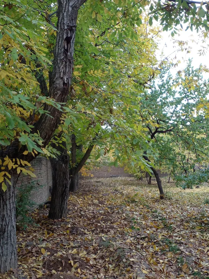 تصویر ۱ - اقامتگاه بوم‌گردی معظم در  تویسرکان