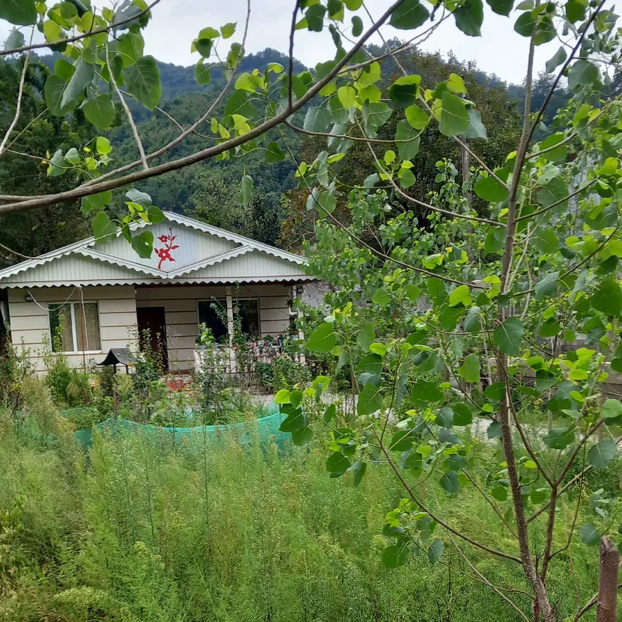 تصویر ۱ - ویلا  اقاقیا کنار رودخانه  در  اسالم