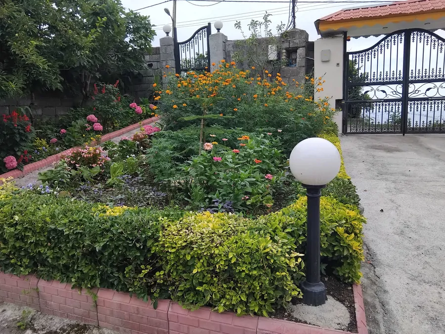 تصویر ۱ - ویلا جنگلی روستای پتک  در  رامسر