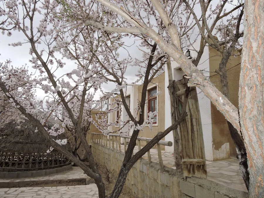 تصویر ۱ - اقامتگاه بوم‌گردی خانه باغ صفا اتاق30 متری در  آباده