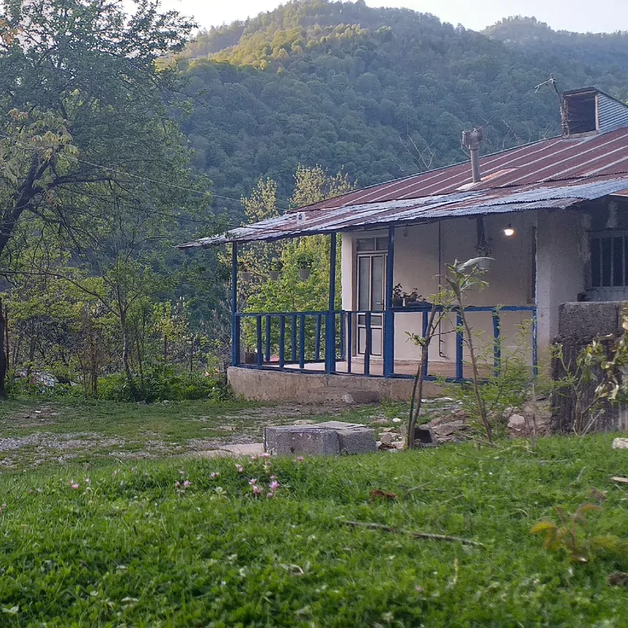 تصویر ۱ - ویلا جنگلی نساء در  ماسال