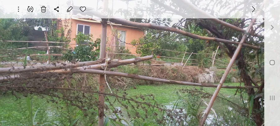 تصویر ۱ - کلبه کلبه گلی دوستان در  محمودآباد