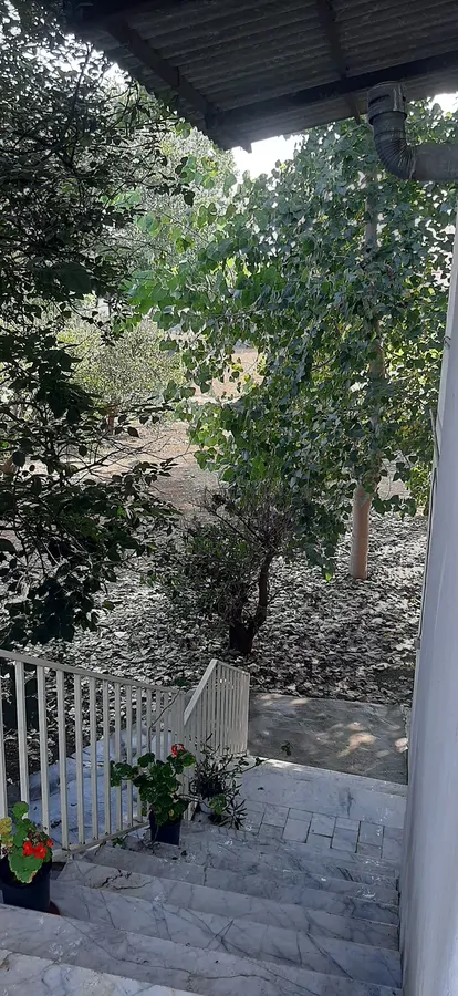 تصویر ۱ - ویلا اقامتگاه چشمه در  فرح آباد