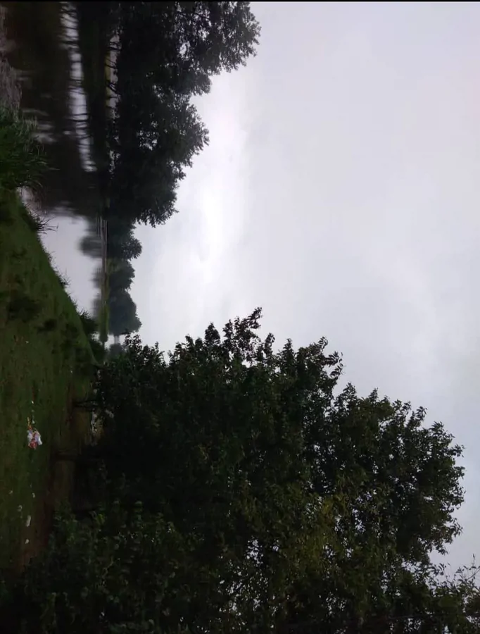 تصویر ۱ - ویلا ویلای تک خوابه جنگلی در  بابل کنار