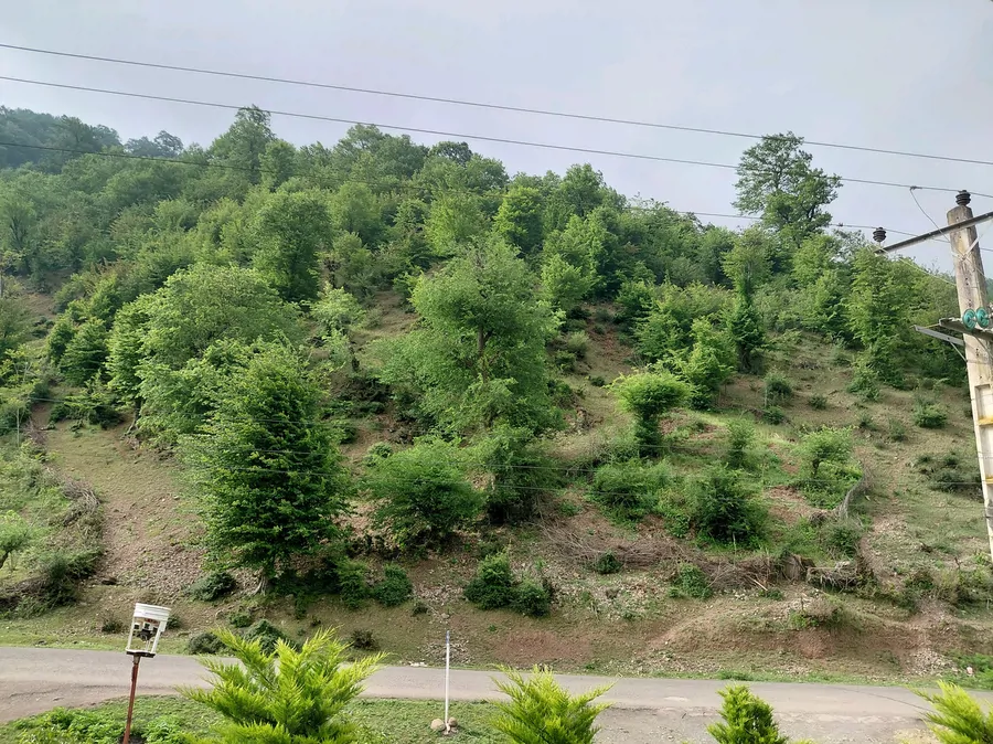 تصویر ۱ - کلبه کلبه جنگلی داخل روستای جنگلی میباشد در ماسال