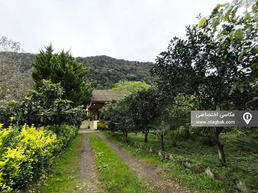 تصویر ۱ - ویلا جنگلی تمشک در  رامسر