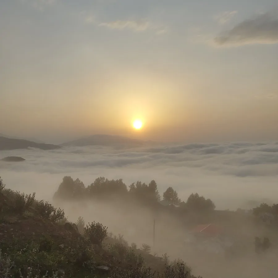 تصویر ۱ - آپارتمان مبله سید دوخواب در  آمل