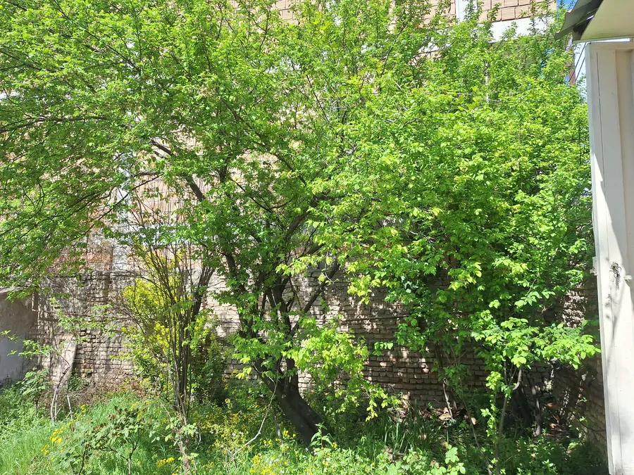 تصویر ۱ - ویلا ویلای در  گرگان
