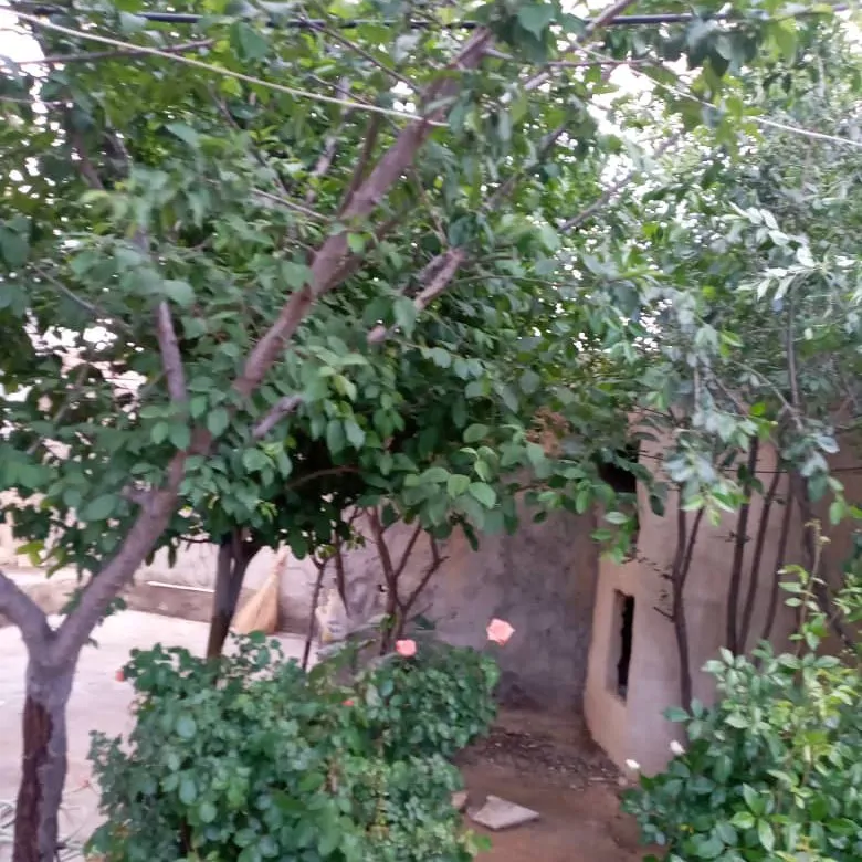 تصویر ۱ - ویلا ویلا باغ مبله  در  اراک