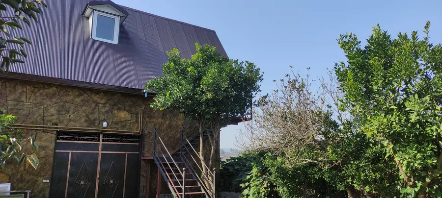 تصویر ۱ - کلبه کلبه ۳خواب باغ کیوی در رودسر