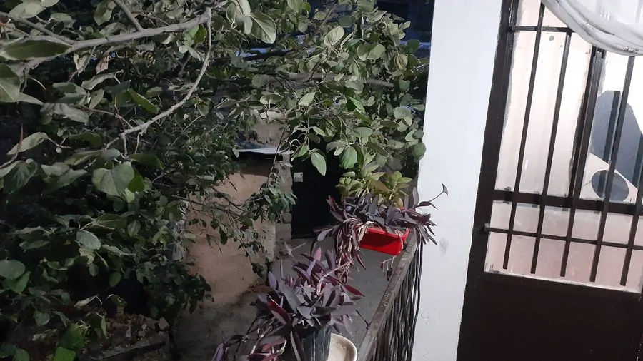 تصویر ۱ - اقامتگاه بوم‌گردی فضای باز لاچکری محلی در  معلم کلایه