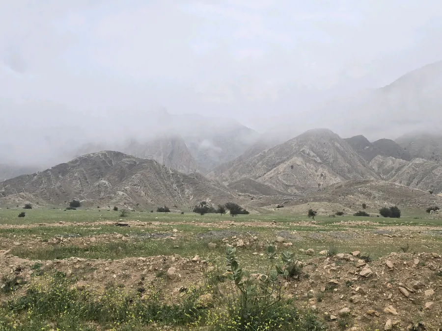 تصویر ۱ - کلبه باغ آرامش چسبیده به کوه و نزدیک به دریا با استخر روباز با آب چشمه در دشتی